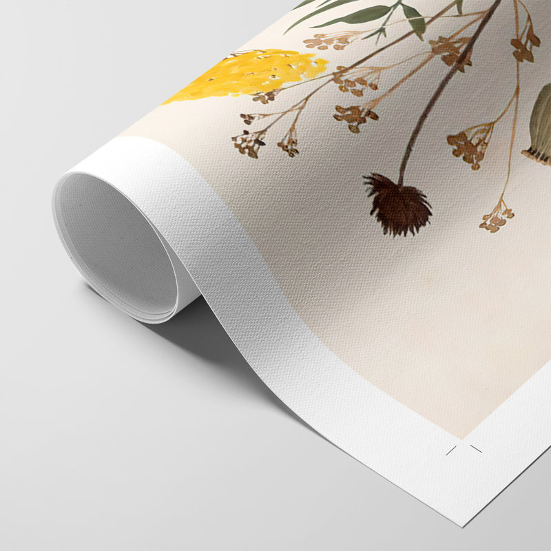 Fall Botanicals II - Impression sur toile seulement - NON-CADRE, H 18 po x l 12 po