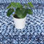 Grand tapis lavable 9 x 12