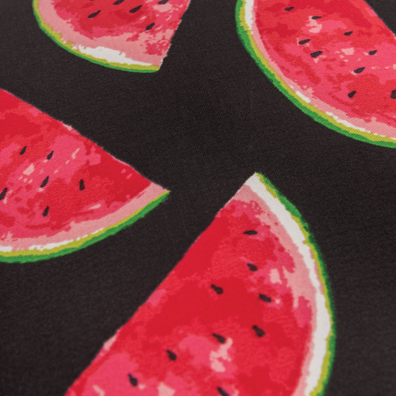 Watermelon Slice Black Polyester Outdoor Throw Pillow 22" x 22"