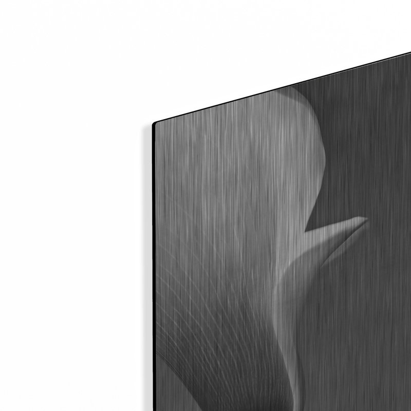 «Calla No. 5» par PhotoINC Studio, H 16 po x l 12 po