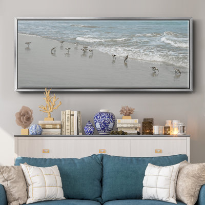 " Shorebirds "