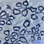 Florina Cotton Blend Floral Room Darkening Thermal Rod Pocket Curtain Panels-70721872-70721871