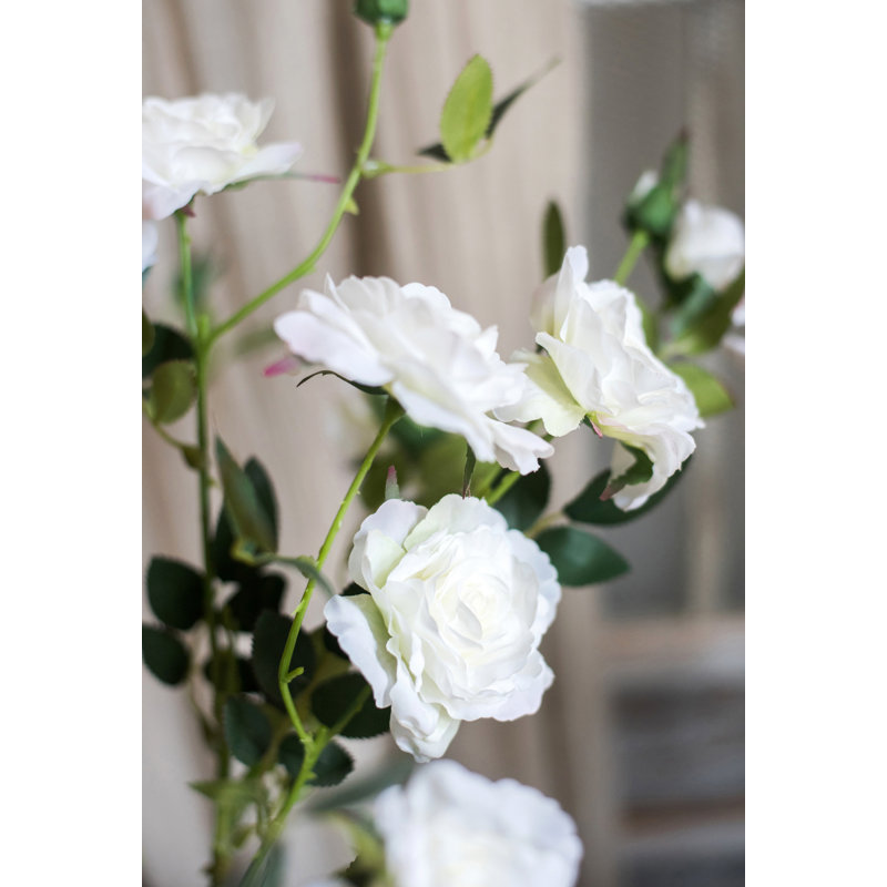 Tige de rose en fleur, Champagne