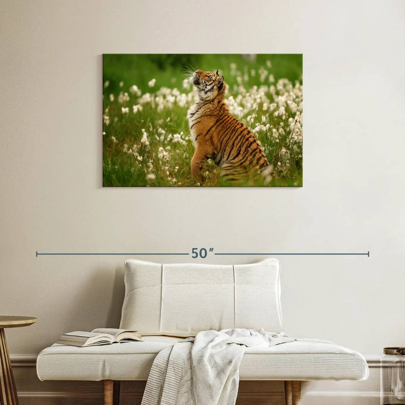 Brampt Tiger Cub, 24" H x 36" W