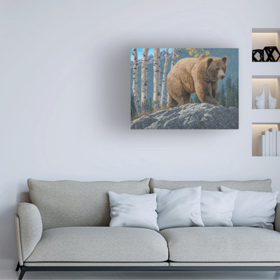 Jeff Hoff Aspen Mountain Grizzly Canvas Art
