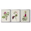 «Pretty Pink Botanicals» - Toile tendue avec châssis sur mesure - 3 pièces-682248789-682248778
