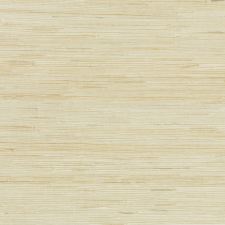 Natural Textures Grass Cloth Wallpaper Roll, White Sand