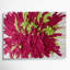 Neo Expressionism 4 Red Canvas Wall Art-2035669596