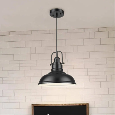 Luminaire suspendu dôme industriel 1 lumière