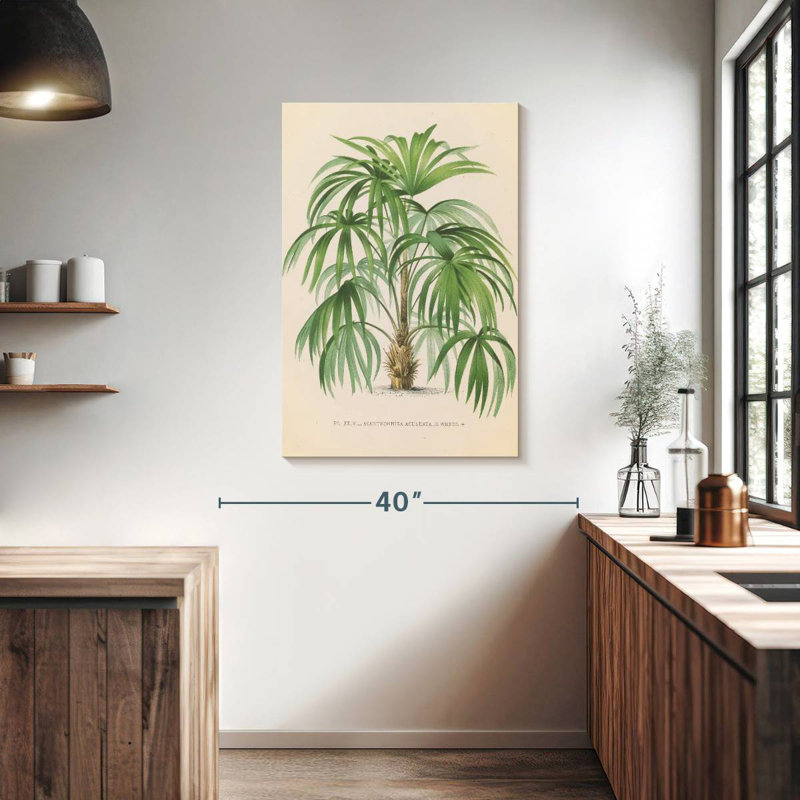 Harnek Palmier II, H 39 po x l 26 po
