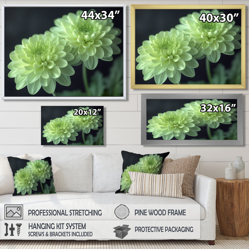 «Green Monochrom Mums Flowers Bouquet I», art mural «Mums», Cadre flottant brun, bois massif, H 16 po x l 32 po x P 1 po