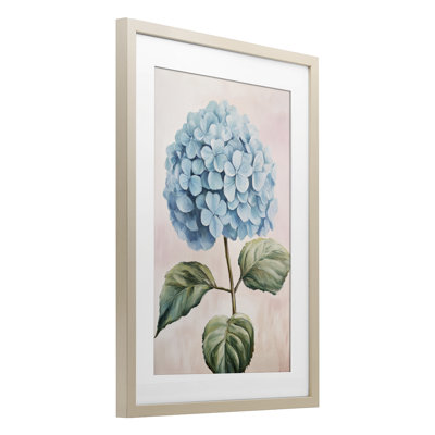 Delicate Baby Blue Hydrangea Framed Print Under Glass, design by Petal Prints Design