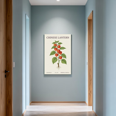 Plantes et fleurs, lanterne chinoise, impression botanique