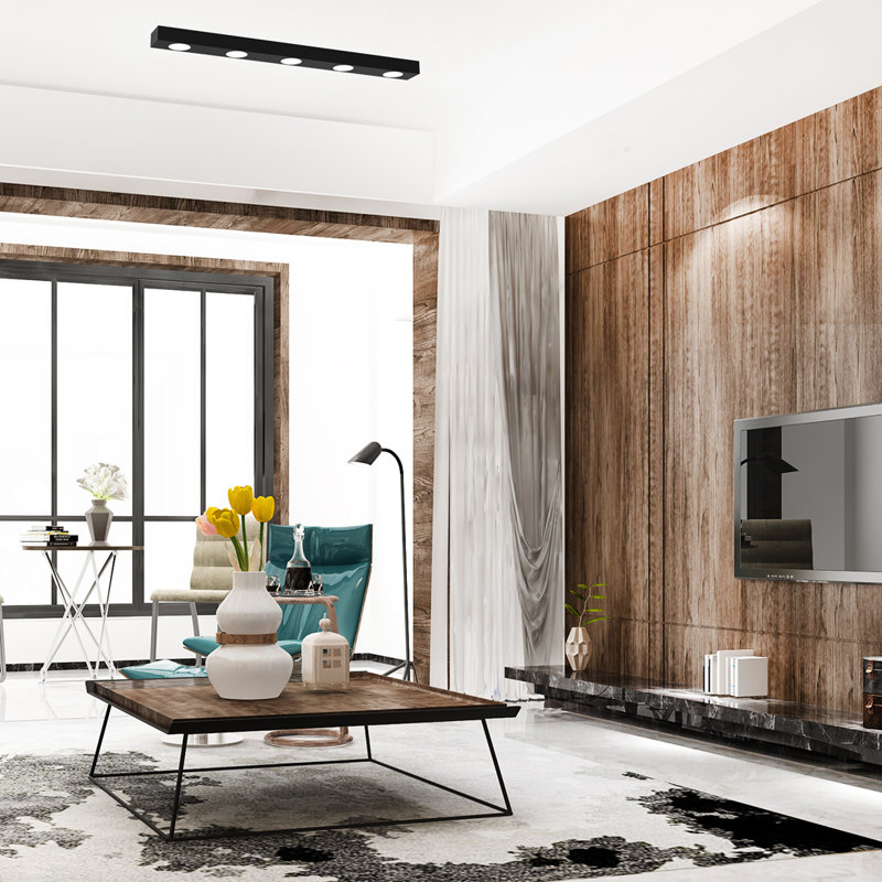 Alexander Ceiling Light