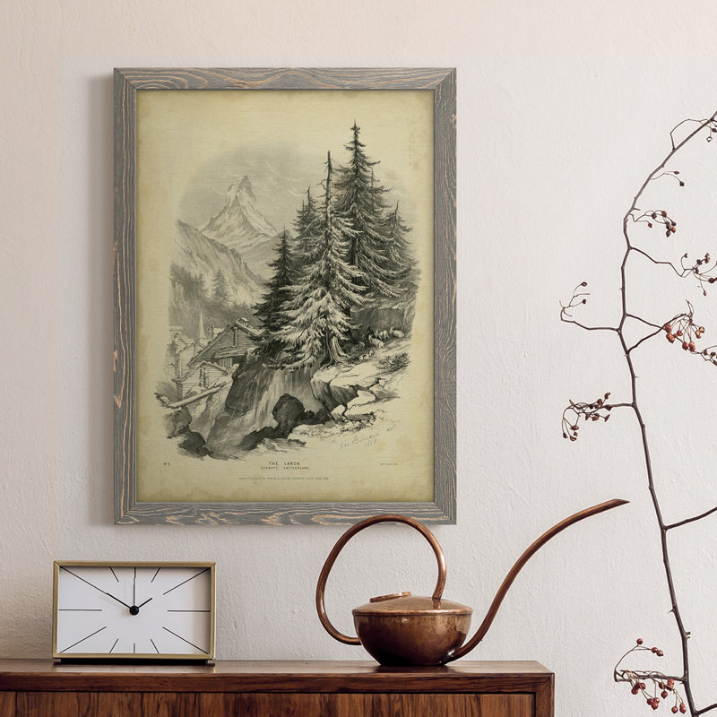 The Larch - Reproduction de photo sur toile, Encadré gris, H 24 po x l 20 po