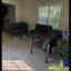 Customer photo 2 of 2