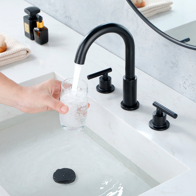 Bathroom Faucet with Drain Assembly, Matte Black