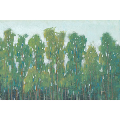 Forest Green II by Tim OToole - Wrapped Canvas Painting