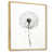 Natural Floater Framed