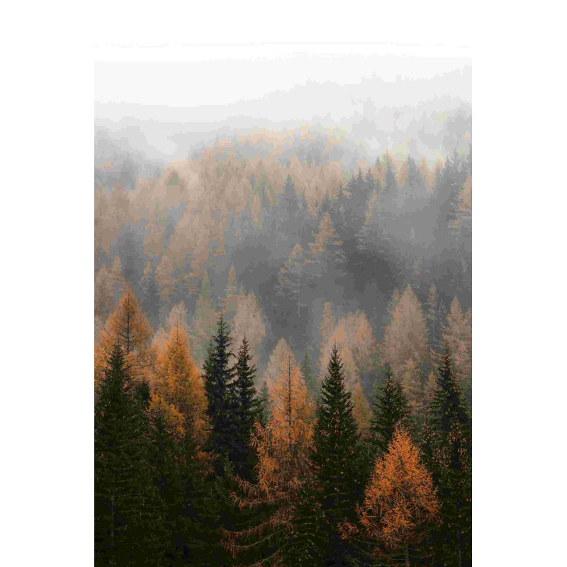 Arbres brumeux en vert et jaune, H 18 po x l 12 po