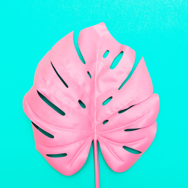 Pink Tropical And Palm Leaf - Wrapped Canvas Print, 30cm H x 30cm W x 3.8cm D