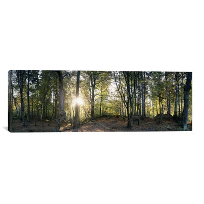 Panoramic Photograph on Canvas