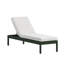Chaise Lounge-1451815107