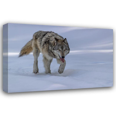 Red Barrel Studio® Zuo, Jun Gallery Wrapped Canvas Art Titled: Wolf