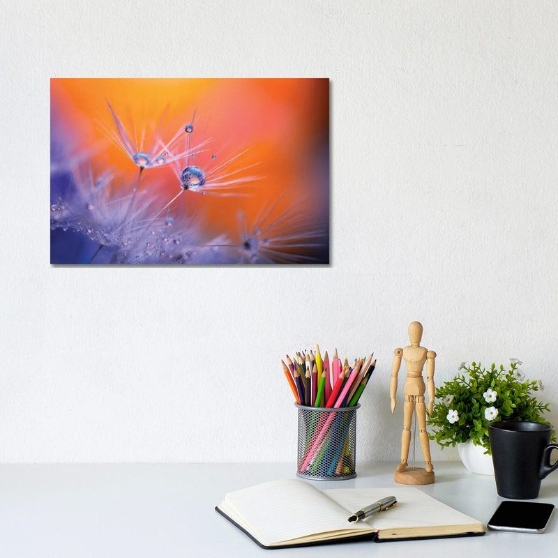 Dandelion Art by Lauri Lohi - Wrapped Canvas Print, 20.32 cm H x 30.48 cm W