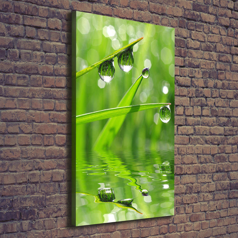 Blades Of Grass - Wrapped Canvas Print