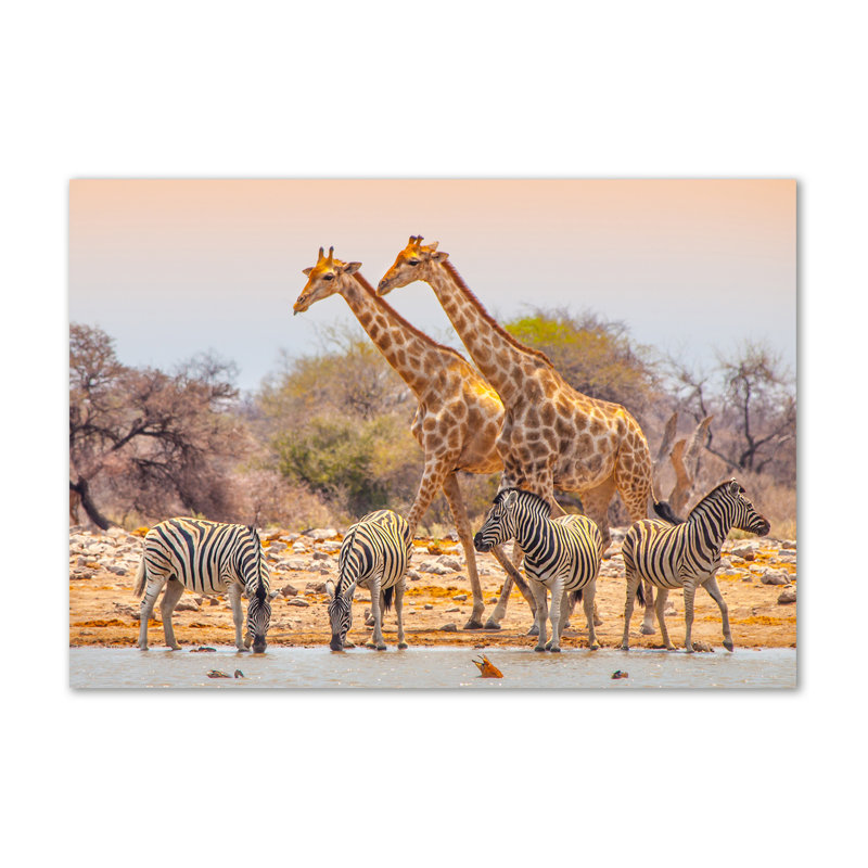 Giraffes And Zebras - No Frame Print on Canvas