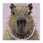 Capybara avec toile collier de perles, design par Studio Bautista-2029615966