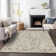 Machine Washable Indoor/Outdoor Chayden ACN1006 Beige 3' x 5' Rug