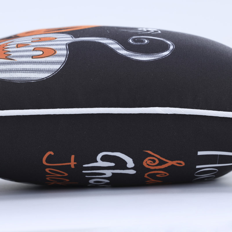 Outdoor Reversible Throw Pillow