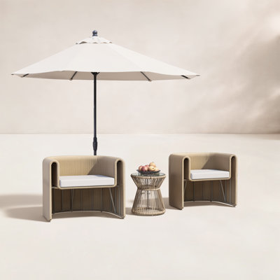Lenore Curved Wicker Patio Dining Chairs with Cushions