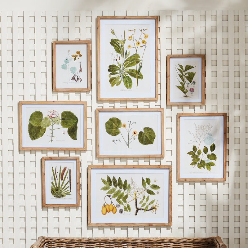 «Flora And Fauna», impressions de galerie