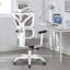 Inbox Zero Jumaane Adjustable Ergonomic Swiveling PC & Racing Game Chair-1244381592-1243090455