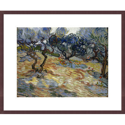 «Olive Trees» par Vincent van Gogh, impression giclée encadrée