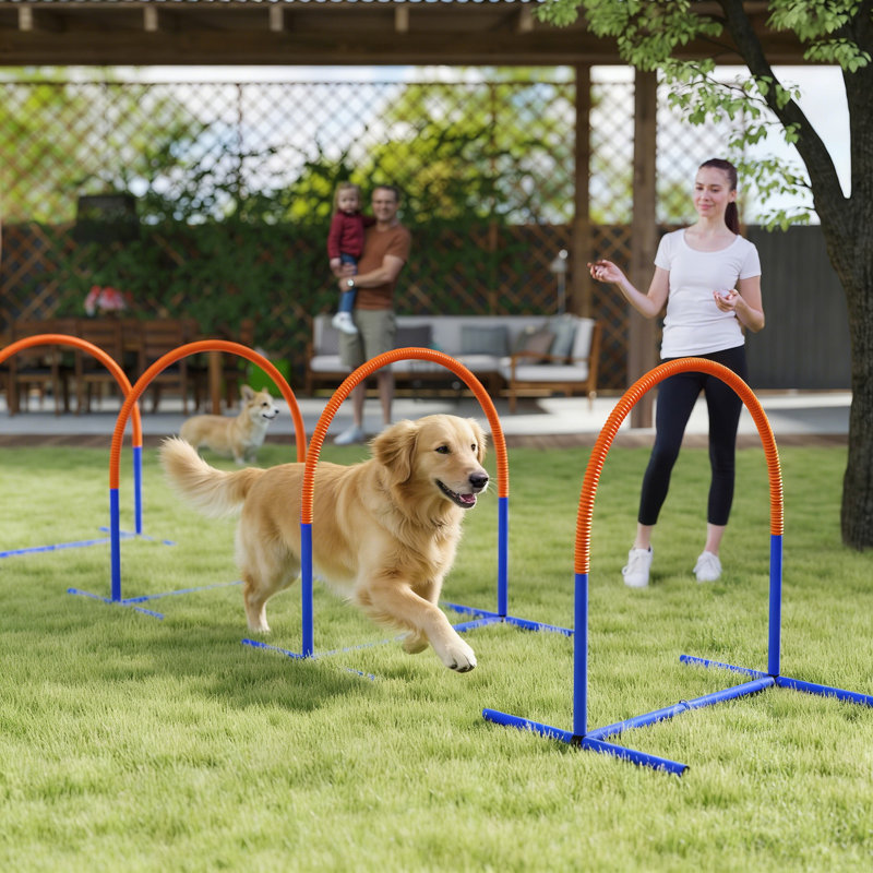 95cm H Plastic Dog Agility