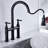 FB WERFY Pull Down Kitchen Faucet-70509565