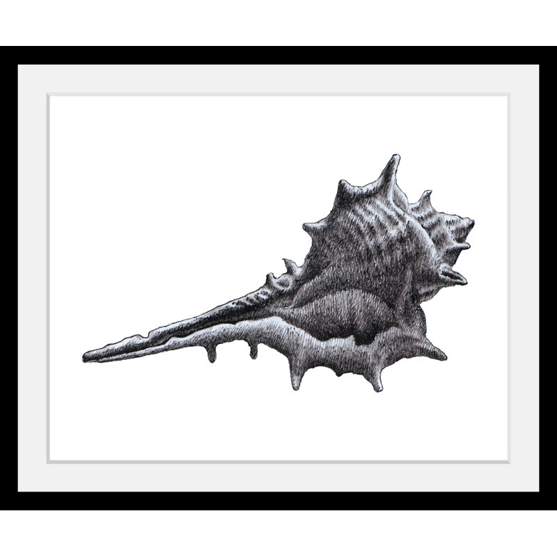 Shell - Single Picture Frame Print
