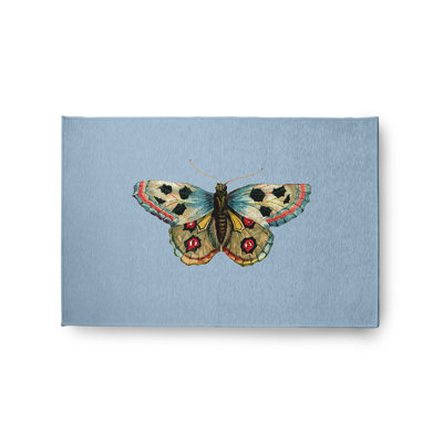 Arlita Chenille Indoor Rug