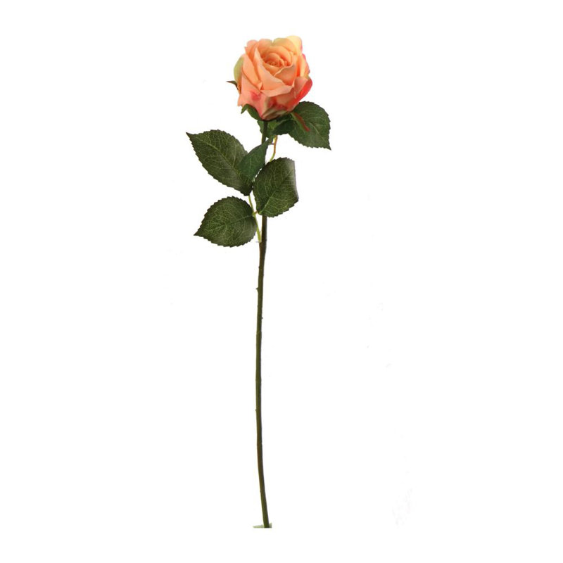 20" Open Rose Stem - 12 Pack