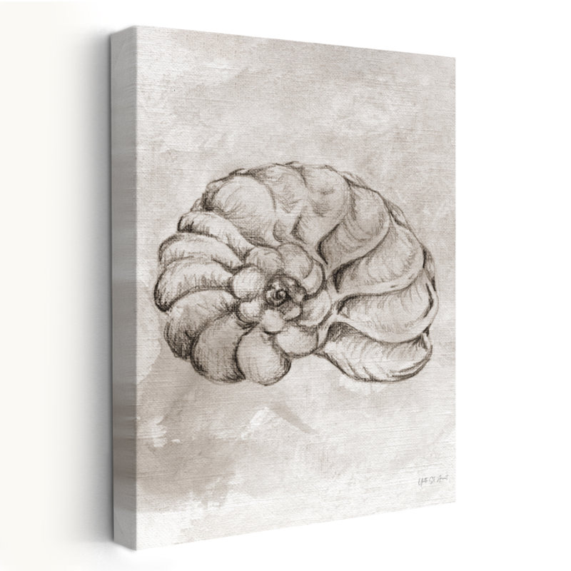 Coquille de requin côtière Dessin de bord de mer gris nautique blanc, H 48 po x l 32 po