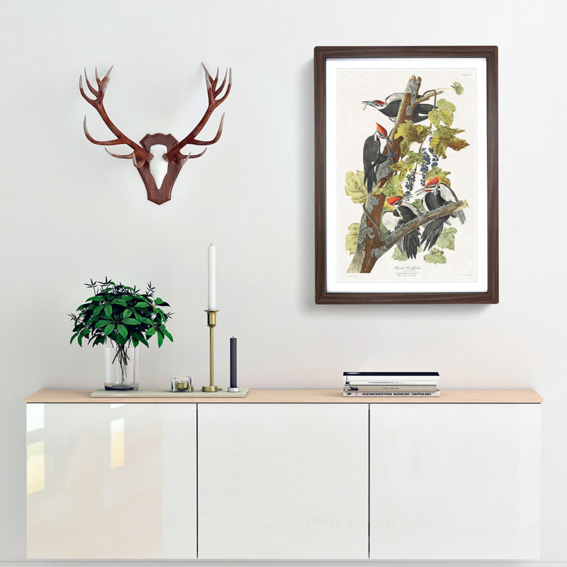 Pileated Woodpeckers by John James Audubon - Picture Frame Painting Print, 36cm H x 27cm W x 2cm D, Walnut Framed