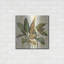 «Fall Greenhouse Leaves» par Silvia Vassileva-1994338836