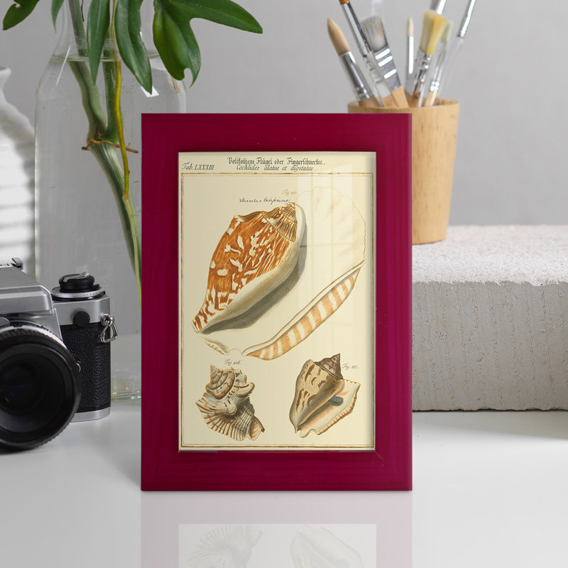 Coquilles de martini antique III sur papier, Rouge, H 9 po x l 7 po x P 1 po
