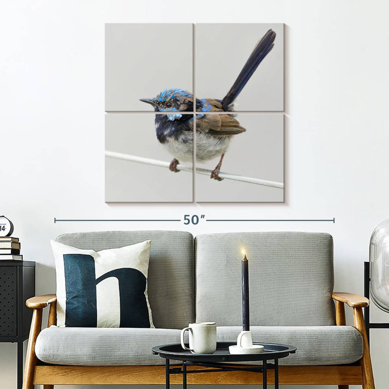 Brampt Bluebird Close Up, 32" H x 32" W