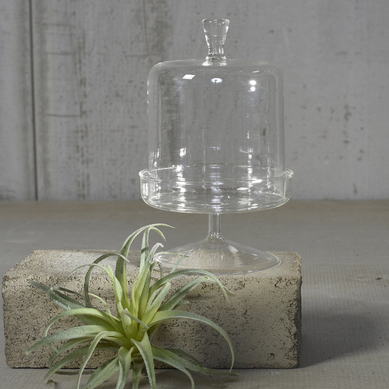 Réservoir de cuisine en verre et dôme