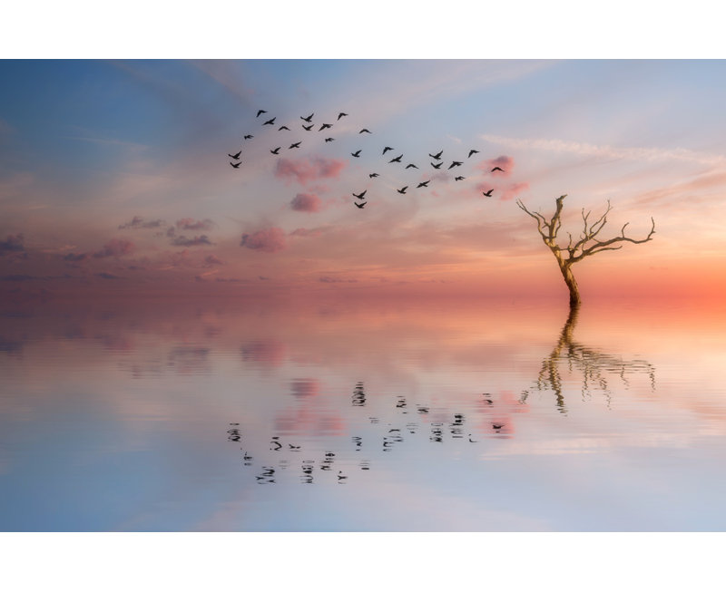 Wrapped Canvas Print, 60.96 cm H x 91.44 cm W